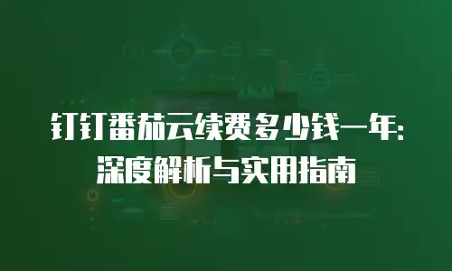 钉钉番茄云续费多少钱一年：深度解析与实用指南