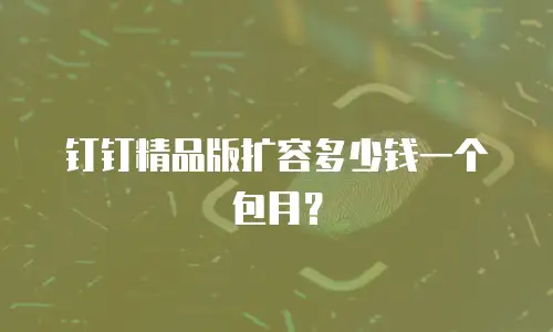 钉钉精品版扩容多少钱一个包月？