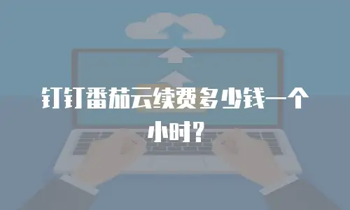 钉钉番茄云续费多少钱一个小时？