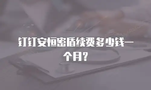 钉钉安恒密盾续费多少钱一个月？