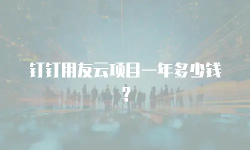 钉钉用友云项目一年多少钱？