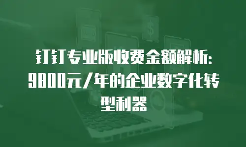 钉钉专业版收费金额解析：9800元/年的企业数字化转型利器