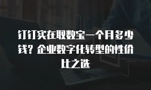 钉钉实在取数宝一个月多少钱？企业数字化转型的性价比之选