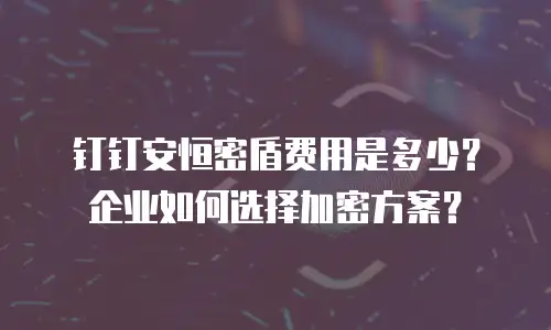钉钉安恒密盾费用是多少？企业如何选择加密方案？
