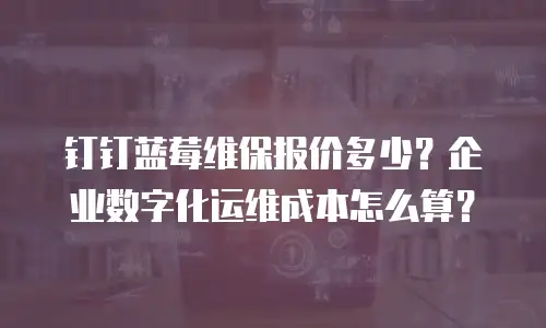 钉钉蓝莓维保报价多少？企业数字化运维成本怎么算？