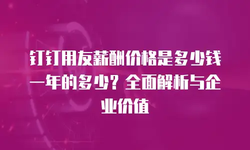 钉钉用友薪酬价格是多少钱一年的多少？全面解析与企业价值