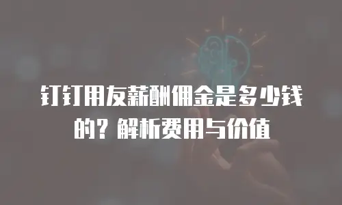 钉钉用友薪酬佣金是多少钱的？解析费用与价值