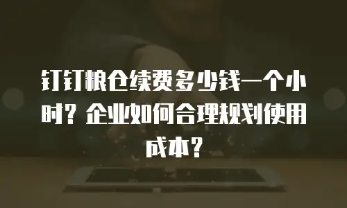 钉钉粮仓续费多少钱一个小时？企业如何合理规划使用成本？