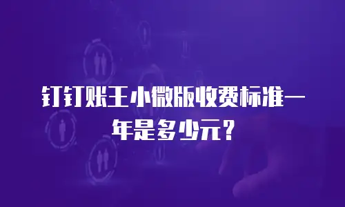 钉钉账王小微版收费标准一年是多少元？
