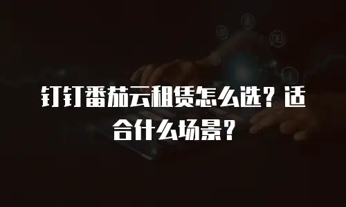 钉钉番茄云租赁怎么选？适合什么场景？