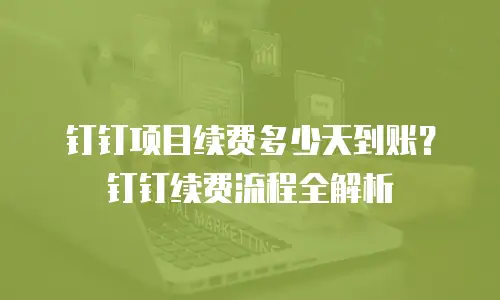 钉钉项目续费多少天到账？钉钉续费流程全解析