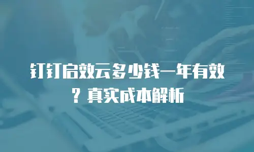 钉钉启效云多少钱一年有效？真实成本解析