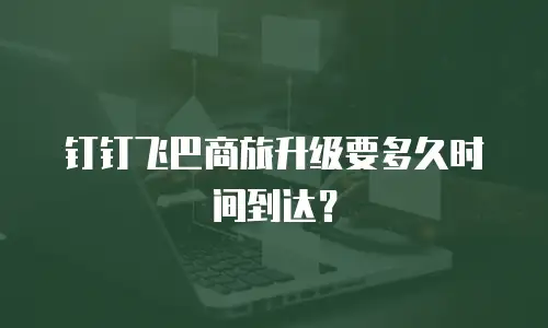 钉钉飞巴商旅升级要多久时间到达？