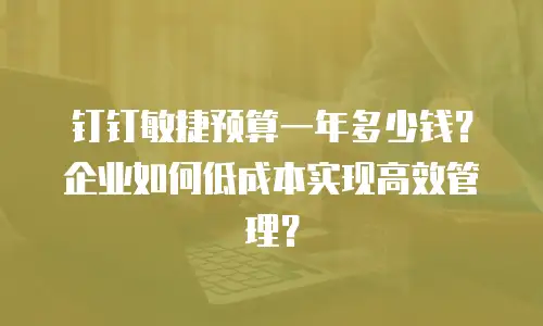 钉钉敏捷预算一年多少钱？企业如何低成本实现高效管理？