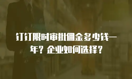 钉钉限时审批佣金多少钱一年？企业如何选择？