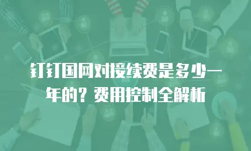 钉钉国网对接续费是多少一年的？费用控制全解析
