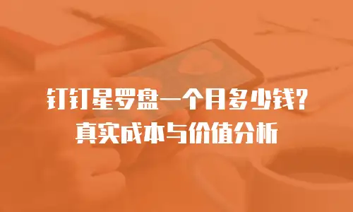 钉钉星罗盘一个月多少钱？真实成本与价值分析