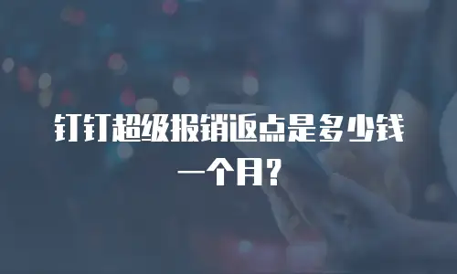 钉钉超级报销返点是多少钱一个月？