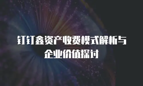 钉钉鑫资产收费模式解析与企业价值探讨