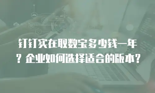 钉钉实在取数宝多少钱一年？企业如何选择适合的版本？
