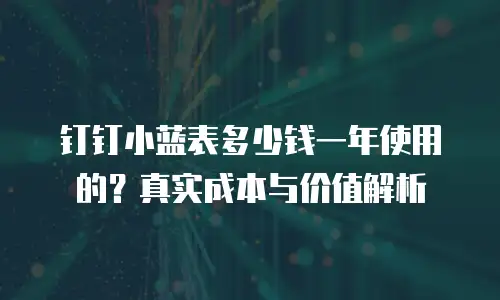 钉钉小蓝表多少钱一年使用的？真实成本与价值解析
