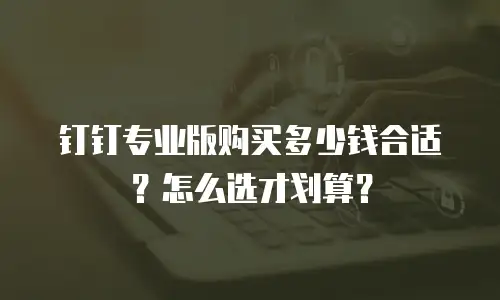 钉钉专业版购买多少钱合适？怎么选才划算？
