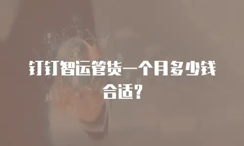 钉钉智运管货一个月多少钱合适？
