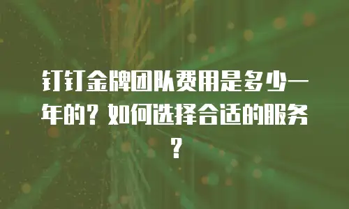 钉钉金牌团队费用是多少一年的？如何选择合适的服务？