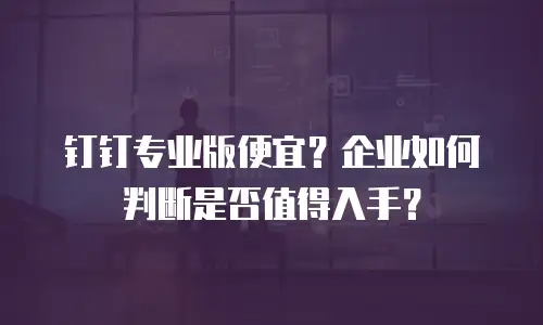 钉钉专业版便宜？企业如何判断是否值得入手？
