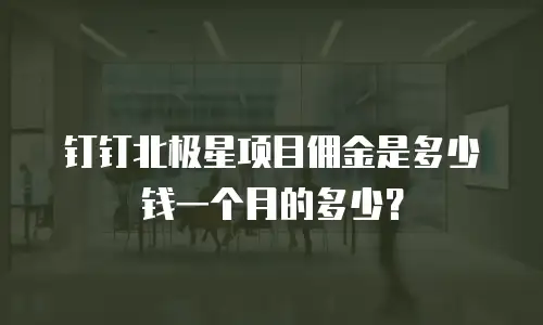 钉钉北极星项目佣金是多少钱一个月的多少？
