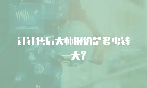 钉钉售后大师报价是多少钱一天？