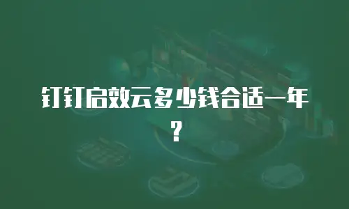 钉钉启效云多少钱合适一年？