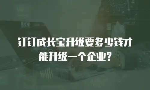 钉钉成长宝升级要多少钱才能升级一个企业？
