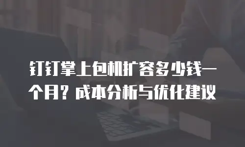 钉钉掌上包机扩容多少钱一个月？成本分析与优化建议