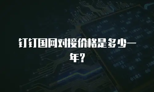 钉钉国网对接价格是多少一年？
