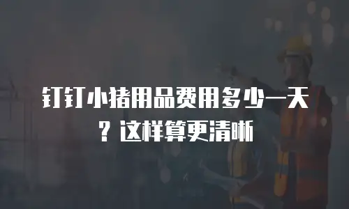 钉钉小猪用品费用多少一天？这样算更清晰