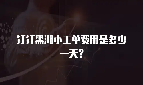 钉钉黑湖小工单费用是多少一天？