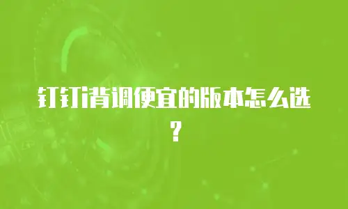 钉钉i背调便宜的版本怎么选？