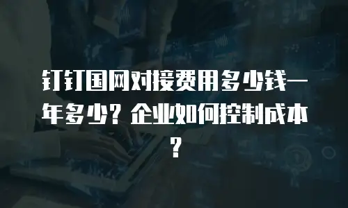 钉钉国网对接费用多少钱一年多少？企业如何控制成本？