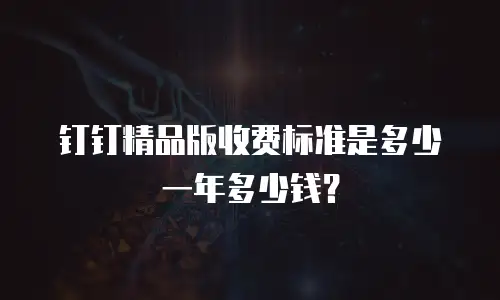 钉钉精品版收费标准是多少一年多少钱？