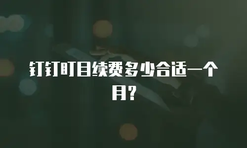 钉钉盯目续费多少合适一个月？