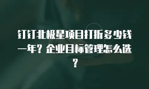 钉钉北极星项目打折多少钱一年？企业目标管理怎么选？