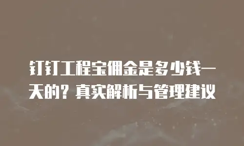 钉钉工程宝佣金是多少钱一天的？真实解析与管理建议