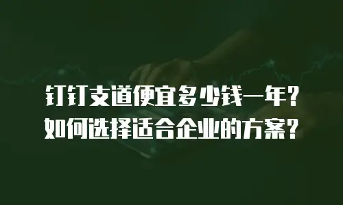 钉钉支道便宜多少钱一年？如何选择适合企业的方案？