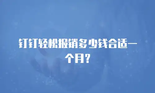 钉钉轻松报销多少钱合适一个月？