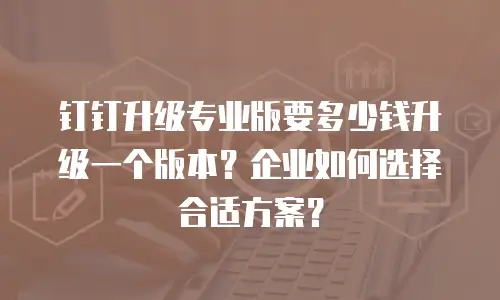 钉钉升级专业版要多少钱升级一个版本？企业如何选择合适方案？