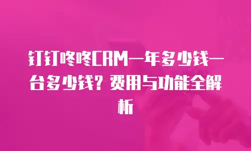 钉钉咚咚CRM一年多少钱一台多少钱？费用与功能全解析