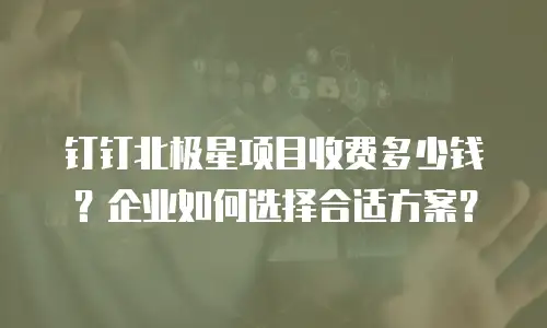 钉钉北极星项目收费多少钱？企业如何选择合适方案？