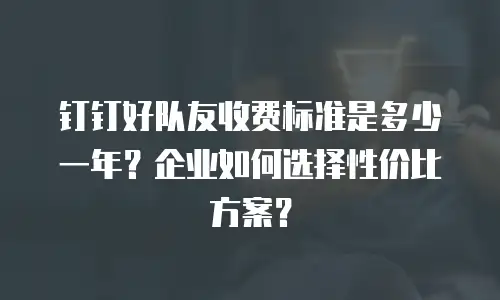 钉钉好队友收费标准是多少一年？企业如何选择性价比方案？