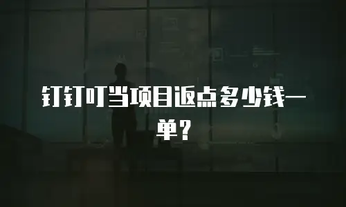 钉钉叮当项目返点多少钱一单？